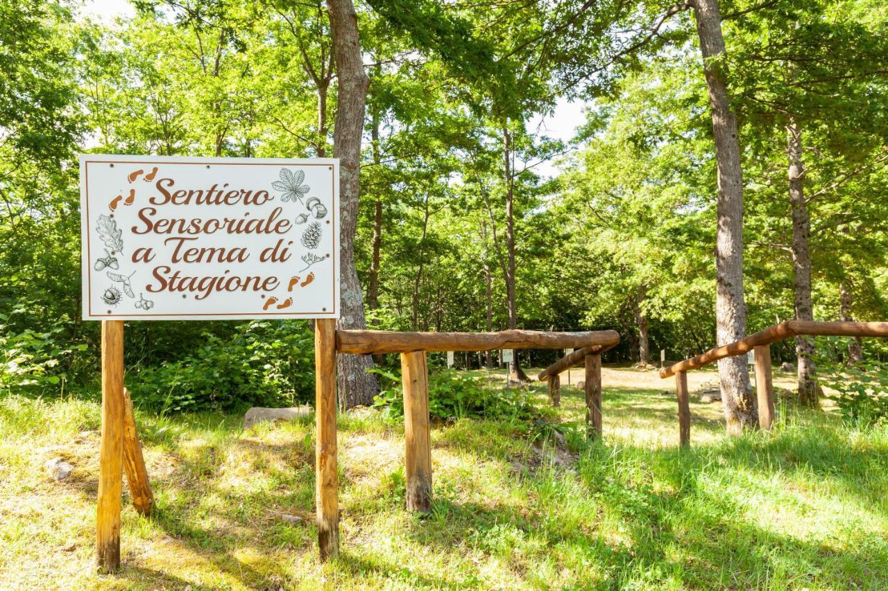 Villaggio Anemone Chalet Fragolina Capanne di Sillano Екстериор снимка